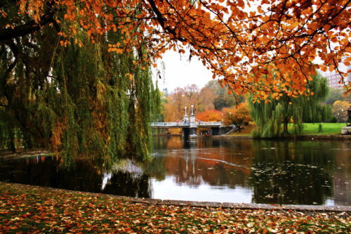 Leaf Peeping in New England